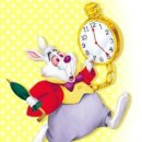 앨리스 in WONDERLAND 이미지