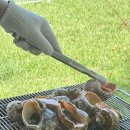 파라독스글램핑 | [태안]_파라독스 애견펜션글램핑개별오토캥핑장 내돈내산 후기 #2