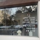 벨루스독 이미지