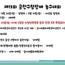 제13회 금천구청장배 농구대회 이미지