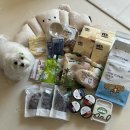 테테즈 | 망고의 뒤늦은 부산펫쇼 후기 .. 🐶🐾