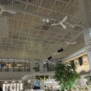 더블유 | [돌잔치 준비] 일산 더블유페스타 계약후기