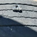 장계 카센타 이미지