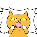 리에헤어