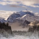 산바래기농장 이미지