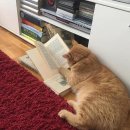 캐나다 인문 여행 | 2025년 ‘나만의’ 독서결산