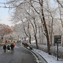 애기봉 평화생태공원 이미지