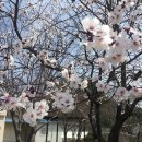 산천가든 - 안성시 | 산천가든