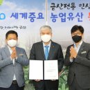 금산종합운동장 이미지