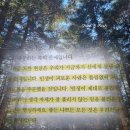 책은 읽고 생각은 익고 - 어떻게 살 것인가? | 어떻게 살 것인가 책 | 사이토 히토리 책 후기 | 지팔지꼰은 정직한 과학입니다 추천 리뷰 핵심 요약