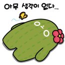 하늘정원다육이