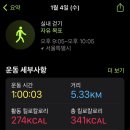 돼지탈출넘버원