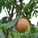 수안보임대사업소 이미지