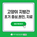 지방간의 진단과 관리 | 고양이 지방간 초기 증상 원인, 실제 치료 후기