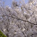 세연축산 | 부산 강서구 고깃집 세연축산 후기 웨이팅, 주차, 셀프바
