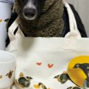 마루공방 | 이냥저냥 공방 블로그 후기 모음