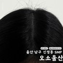 오소울산 이미지