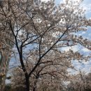 금성컴퓨터세탁소 이미지