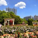가든 - 전주시 덕진구 기린대로 465 | 가든