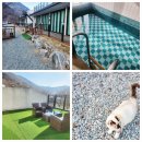 아주르키즈풀빌라 이미지