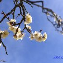 장흥장평중학교 이미지