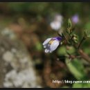 광령초등학교 이미지