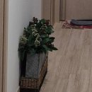 3천리공인중개사사무소 | [웅천동 아파트 매매] 여수 웅천 포레나 1단지 34평 103동 9층 매매[4억 3천]가격조정 가능