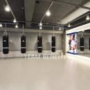 컴벳다이어트짐 이미지