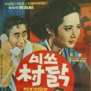 미쓰촌닭