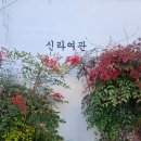 신라여관 이미지