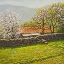 살구나무집 이미지