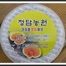 영지다육