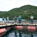 거제-거제-거제-비상-30 이미지