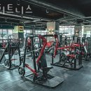 mk휘트니스 이미지