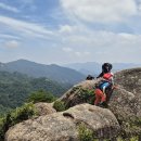 묘동회관 이미지