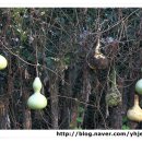 성진민박 이미지