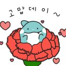 채움김밥 이미지