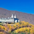 정선당구장 이미지