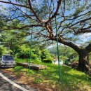 수철리 무쇠다리쉼터 | 소백산자락길_2자락_2025. 06. 29