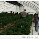 라이프태권스쿨 이미지