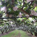 한길농원 이미지