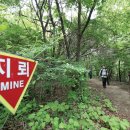 DMZ펀치볼둘레길_만대벌판길_21-1 티스토리