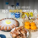 주정차-20 | 서귀포 딱새우회 가성비 어떨까? 직접 먹어봄 여기고씨네 본점