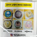 댕금님표 수제간식 이미지