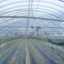 이든농장 이미지