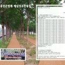 (주) 정언 이미지