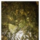 안양초등학교 이미지