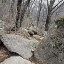 (주)에스원 동부산지사 | 또 혼자 오른 속리산, 문장대에서 천왕봉까지 환종주 후기- 에세이 [26년 4월5일]