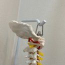 이동민한의원 이미지