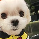 일광해빛동물병원 이미지